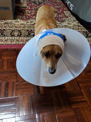 photo of Chadwick M.