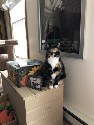photo of Cindy M.