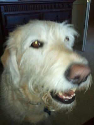 Photo of Dave H.