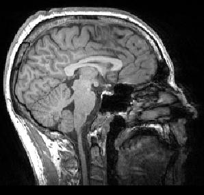 photo of Jonathan H.