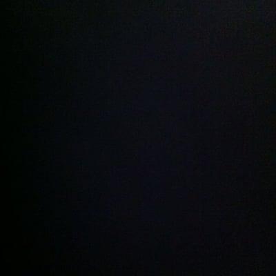 Photo of Sina K.