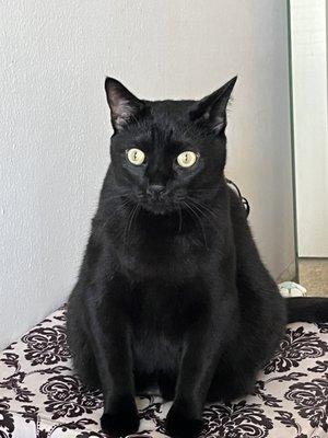 photo of Chi K.