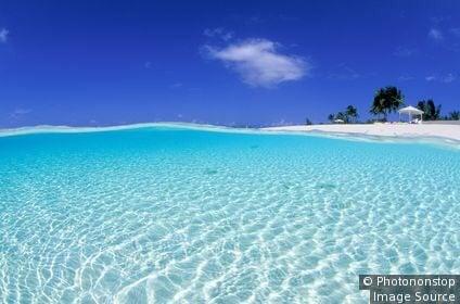 Photo of Bahama M.