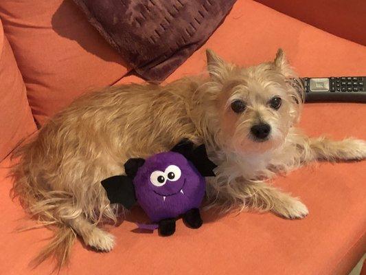 photo of jennifer c.