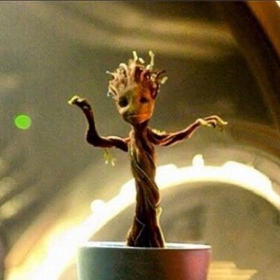 Photo of Stephanie K.