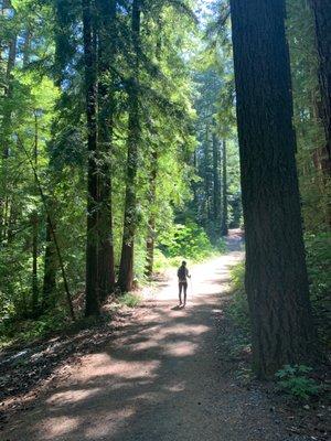 Photo of Cindy T.