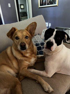 photo of Geoffrey C.