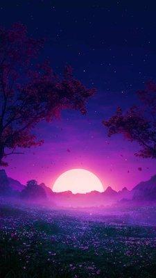 Photo of Madilynn B.