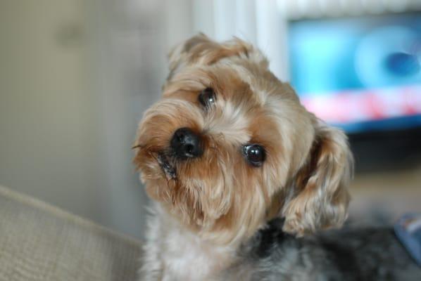 Photo of Yogiyo Y.