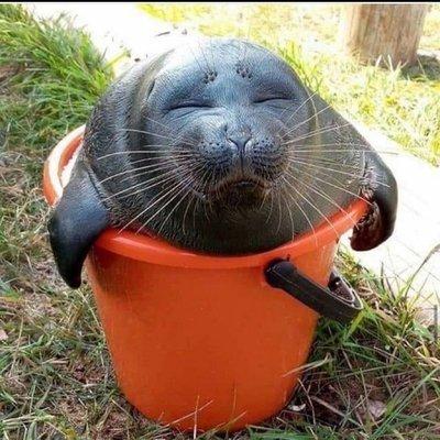 photo of Lilliana M.