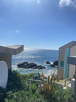 photo of Shayland S.