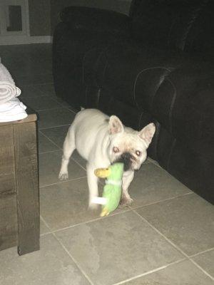 Photo of Kimberly N.