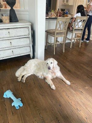 Photo of Bridget