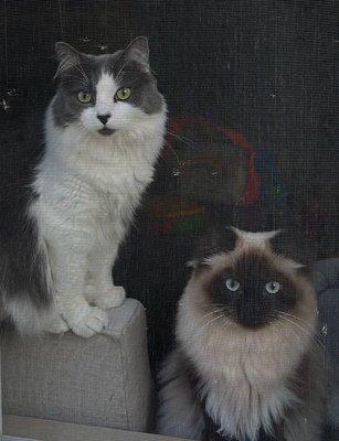 Photo of Caty W.