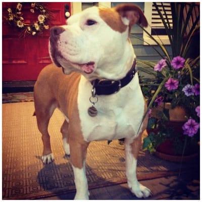 photo of Kathleen S.