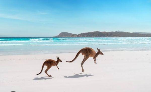 photo of Aussiegurl W.