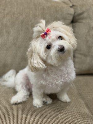 photo of Anastasiya K.