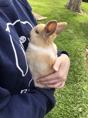 Photo of Sophie M.