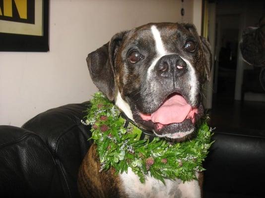 photo of Kathleen D.