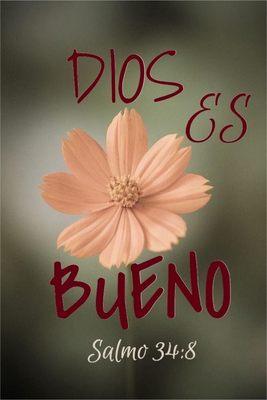 photo of Catherine S.