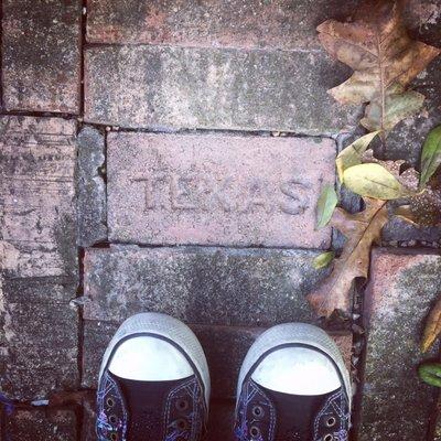 Photo of Patricia F.