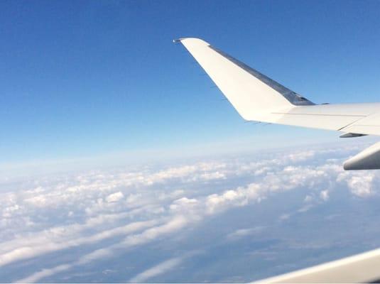 photo of Meredith A.