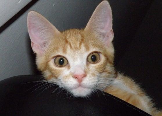 photo of Mr5Diamond D.