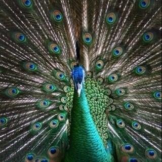 photo of Penelope Y.