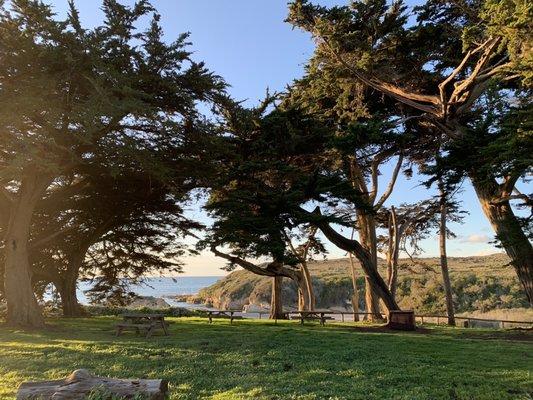 photo of Jonathan H.