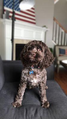 Photo of Kevin K.