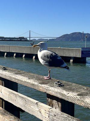 photo of Precious J.