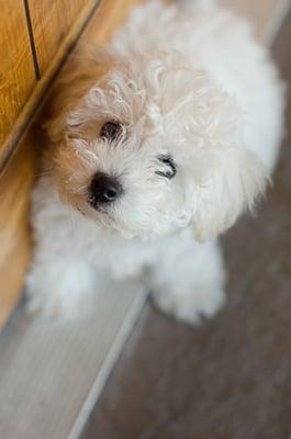 Photo of Kathleen S.