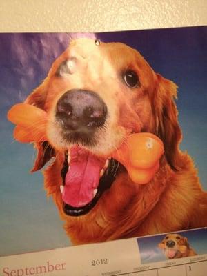 photo of Jonathan S.