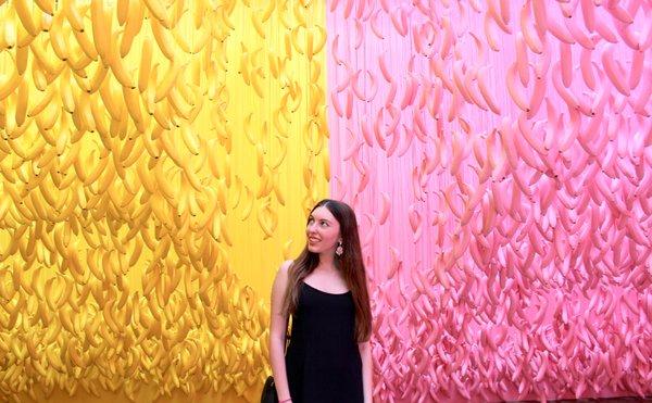 Photo of Karina C.