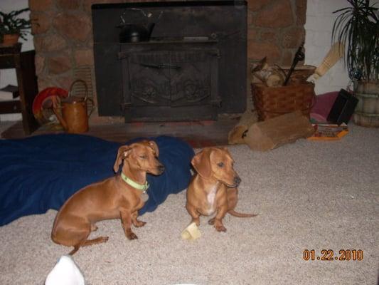 Photo of LynnEvelyn W.