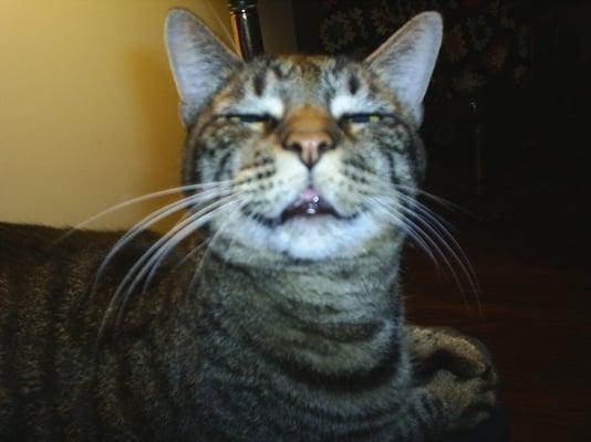 photo of Patricia L.