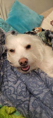 photo of Michelle S.