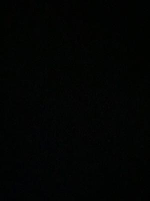 Photo of Kelsey L.
