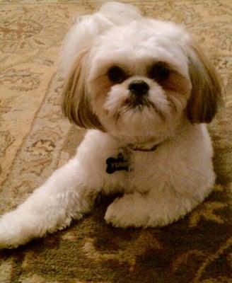 Photo of Mel S.