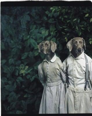 photo of Heurtebise K.