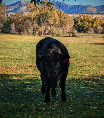 photo of Samantha B.