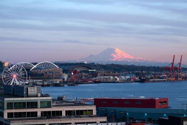 Photo of Belltown G.