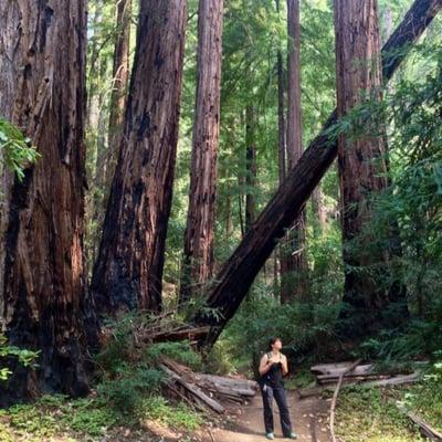 photo of Katherine Z.