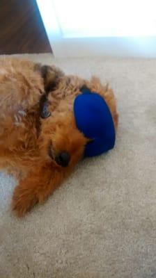 photo of Littlejeans S.