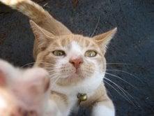 photo of Patricia T.