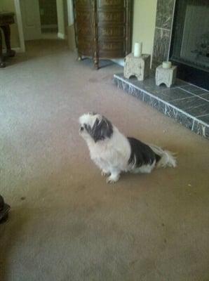 photo of Leonardo M.