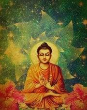 photo of Dharma K.