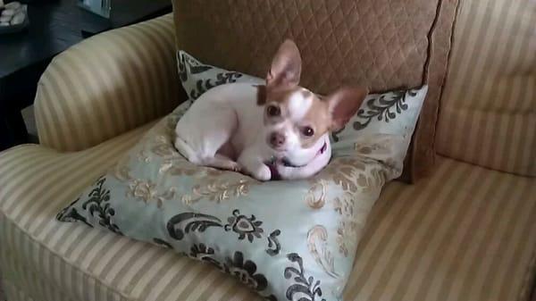 photo of Michelle D.