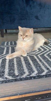 photo of Christine J.