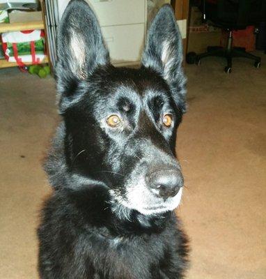 photo of Christina P.